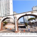 향남 살구꽃공원
