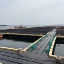 천수만로 이미지