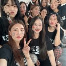 사랑방펫 이미지