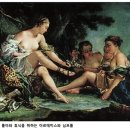 우드님프 이미지