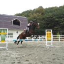 박실승마체험장
