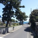 법환동-19 이미지