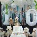 바우라움 메인캠퍼스 이미지