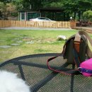 갱이농장 이미지