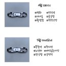 플라비 이미지