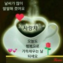 가림이힐링