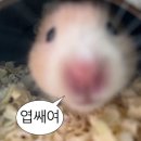 해피타임 | [가산디지털단지 점심 맛집] 가산동 구내식당 &#39;해피타임&#39;, 찐 직장인 점심 후기 (가격 7,000원)