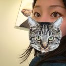 [영등포속눈썹펌] 아이미뷰티 영등포구청역점, 속눈썹펌 솔직후기
