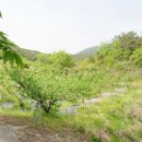 삼태리농장 이미지