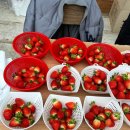 삼방농장 이미지