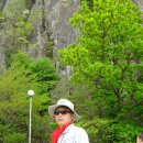구지동 Daum카페
