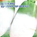 다팜농약사 이미지