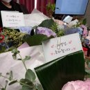 영캣 | 여름맞이 낭만컨퍼런스 후기! 2021년 여름냥이상의 주인공은? 11마리의낭만고양이 대구광고회사 일상