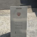동탄 신상스튜디오 아모르보네르 200일사진 촬영후기