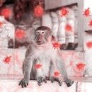 엠에스메드 이미지