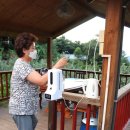 화강황토 이미지