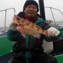 토탈피싱 이미지