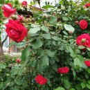 이태근농가 이미지