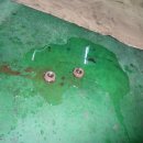 오복자동차정비 이미지