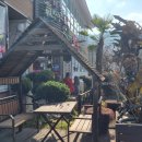 매력한우 기찬랜드 명품관 | 영암 기찬 랜드 매력한우 명품관 한우 버섯전골 - 나홀로 여행