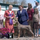 Ticket to Paradise 이미지