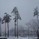 부평공원3 이미지