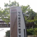 악성김창조선생기념관 Daum카페