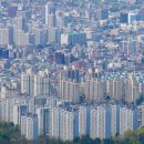 4761 대전일보
