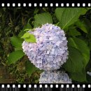 마음에고향 이미지