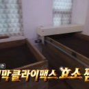 효소체형관리 이미지