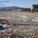 김화읍행정복지센터 네이버블로그
