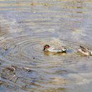 만천천길 이미지