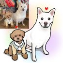 베베드시앙 이미지