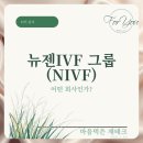 뉴젠 티스토리