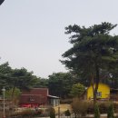 군산시-00003 네이버블로그
