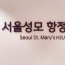 서울성모항정유외과의원 이미지