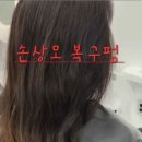 해르헤어