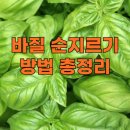 순 이미지