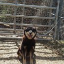 달아실 농원 이미지