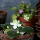 인석농장 이미지