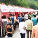 광명동굴 (경관광장) 이미지