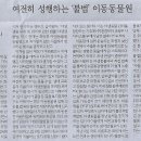 대화목욕탕 Daum카페