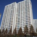 강남동로 이미지