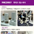 제이원펫 이미지