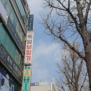 고려보청기(독일지멘스) 이미지