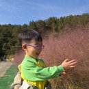 초원어린이집 | 🐮 [양평 앙떼목장 어린이집 견학 후기] 아이들이 웃음꽃 핀 하루, 자연 속 체험학습!