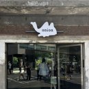 6월 첫째주 일상 | 카멜백 도쿄 어니언 성수 콜라보 후기, 요아정 아사이볼, 이구위크
