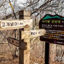 버드니삼거리 이미지