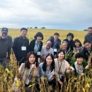 (주)대두식품 이미지