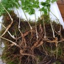 노두농장 이미지